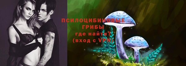 прущая мука Верея