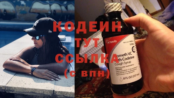 шишки Бикин