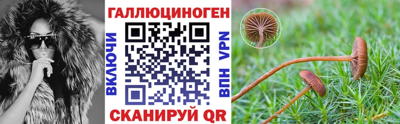 Псилоцибиновые грибы Psilocybe  продажа наркотиков  блэк спрут сайт  Знаменск 