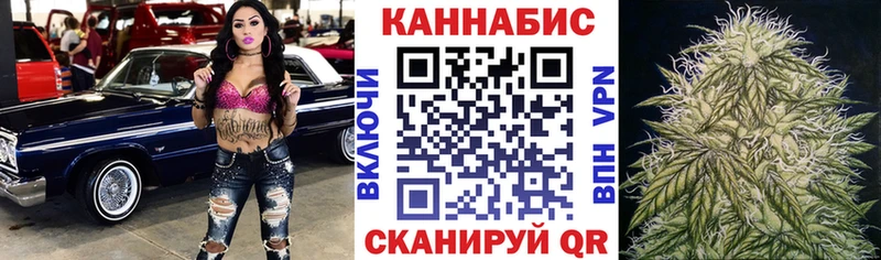 Бошки Шишки планчик  Знаменск 